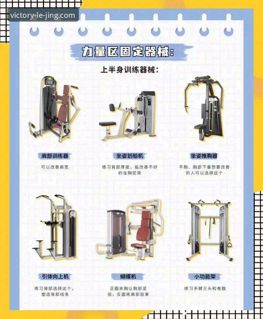 乐竞体育功能教程 乐竞体育功能教程:从入门到精通的完整使用指南