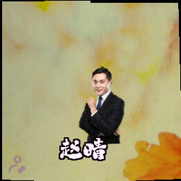 赵晴